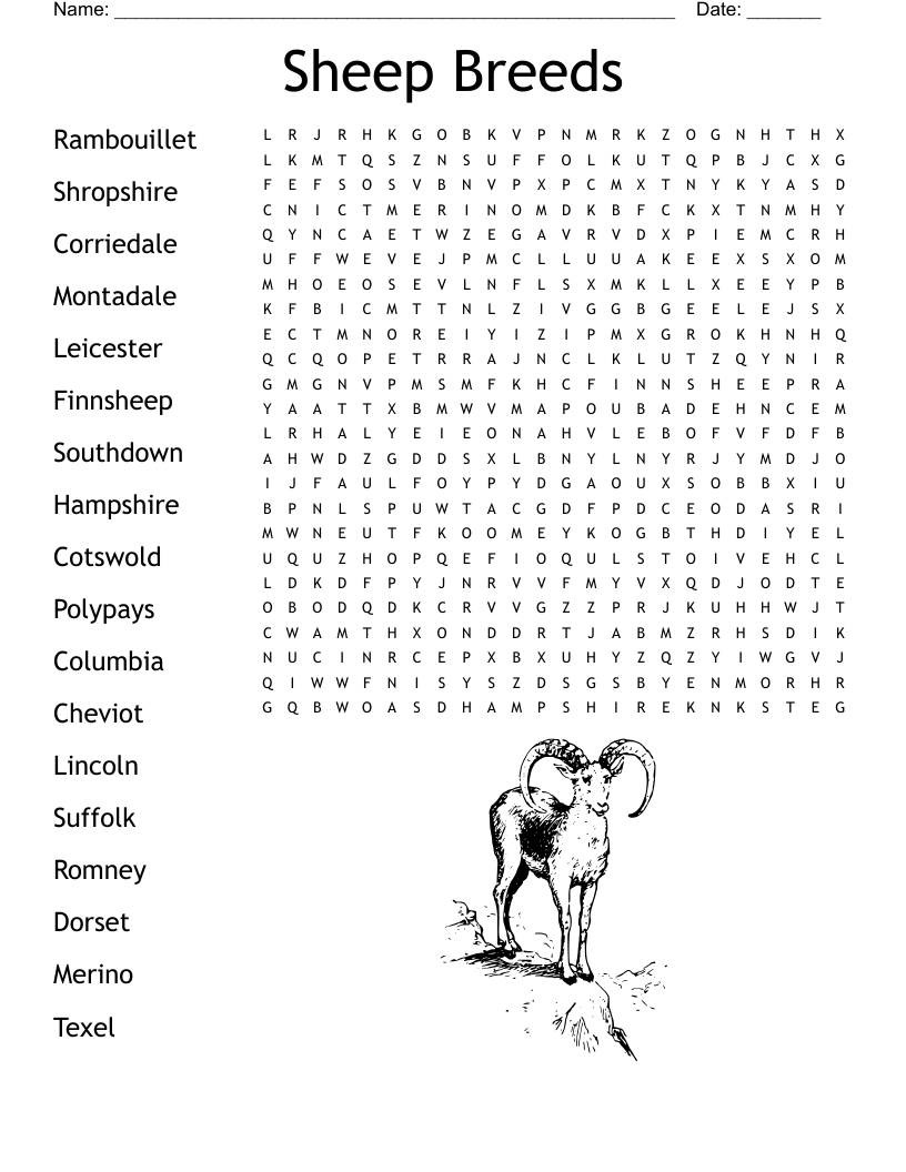 Sheep Breeds Word Search