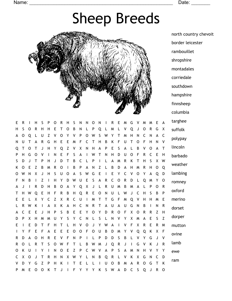 Sheep Breeds Word Search