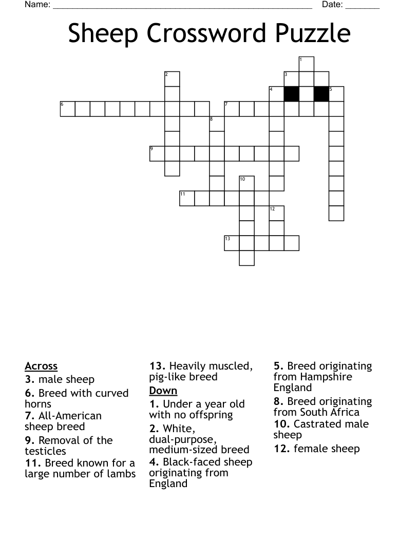 Sheep Crossword Puzzle