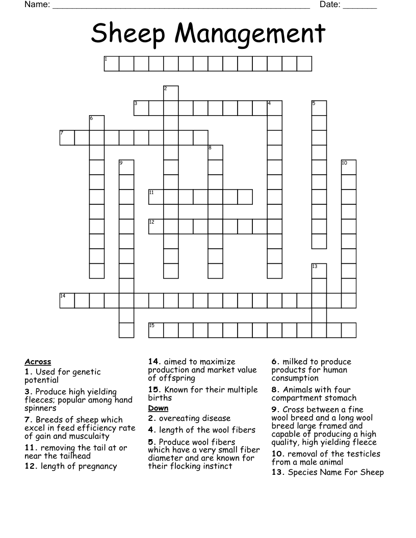 Sheep Management Crossword