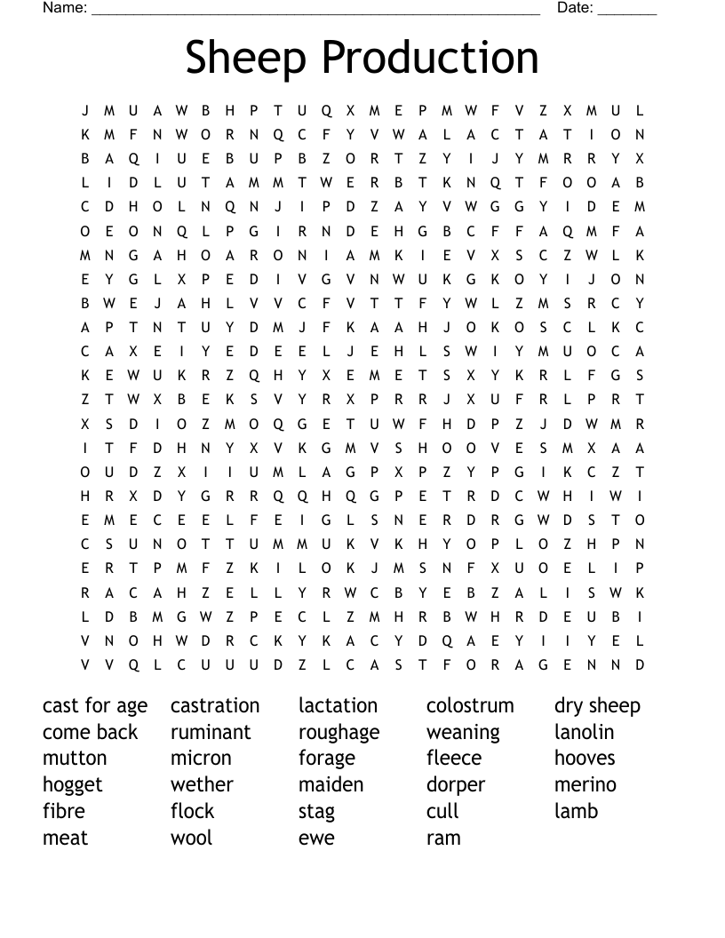 Sheep Production Word Search