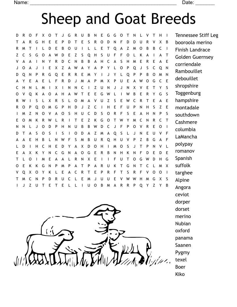 Sheep and Goat Breeds Word Search