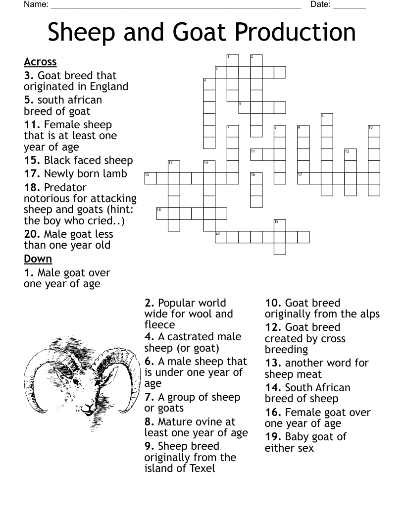 Sheep and Goat Production Crossword