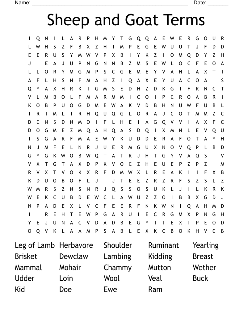 Sheep and Goat Terms Word Search