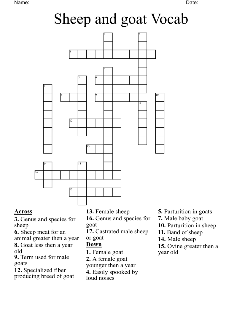 Sheep and goat Vocab Crossword