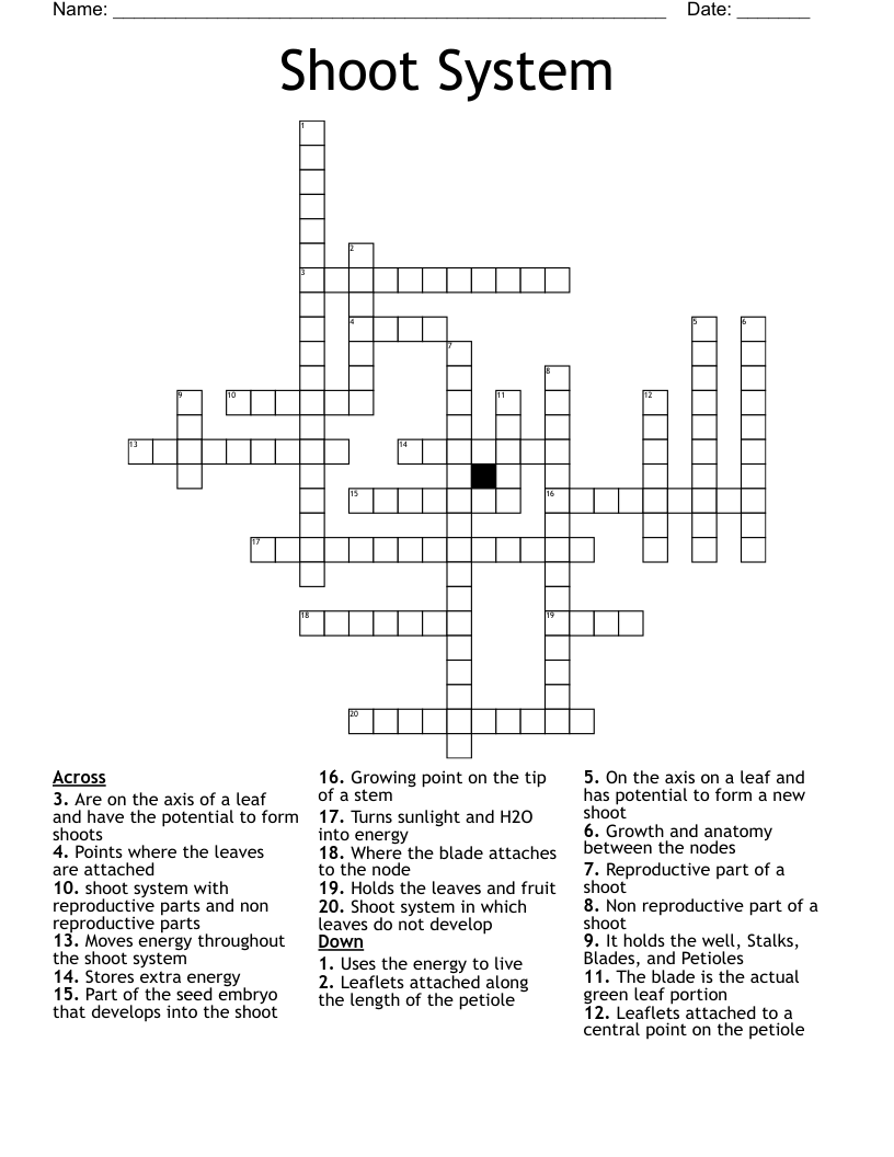 Shoot System Crossword