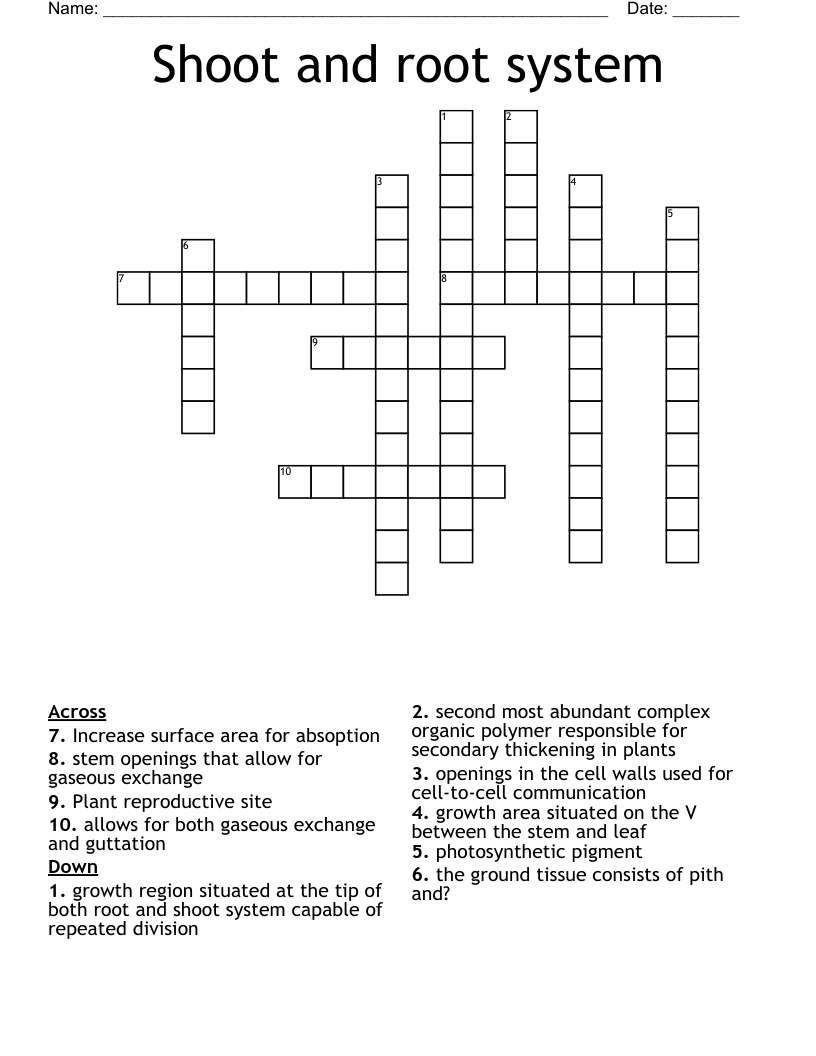 Shoot and root system Crossword