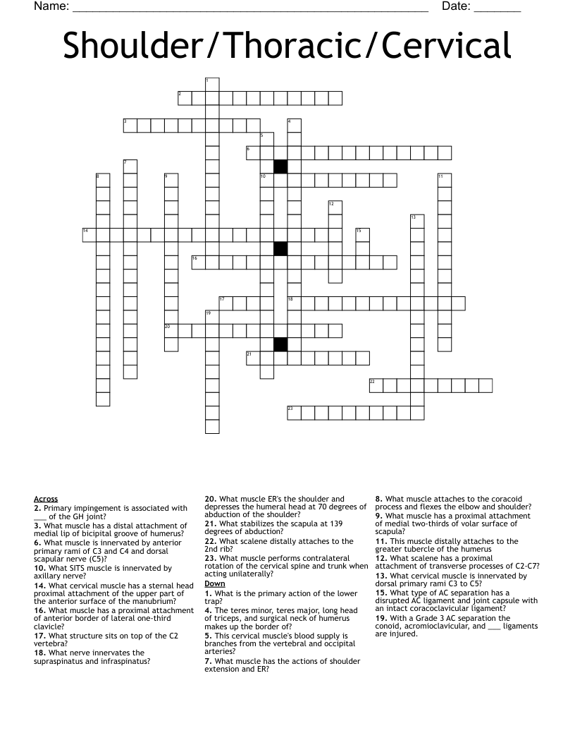 Shoulder/Thoracic/Cervical Crossword