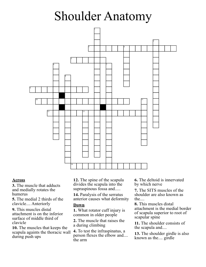 Shoulder Anatomy Crossword