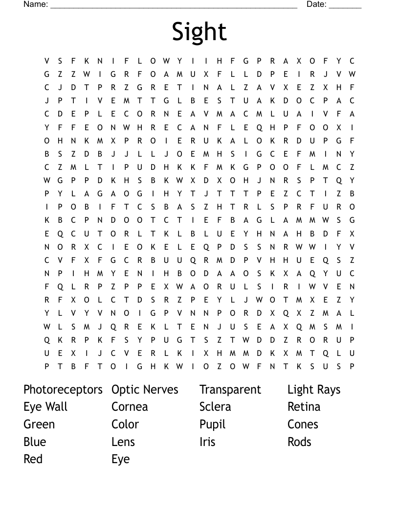 Sight Word Search