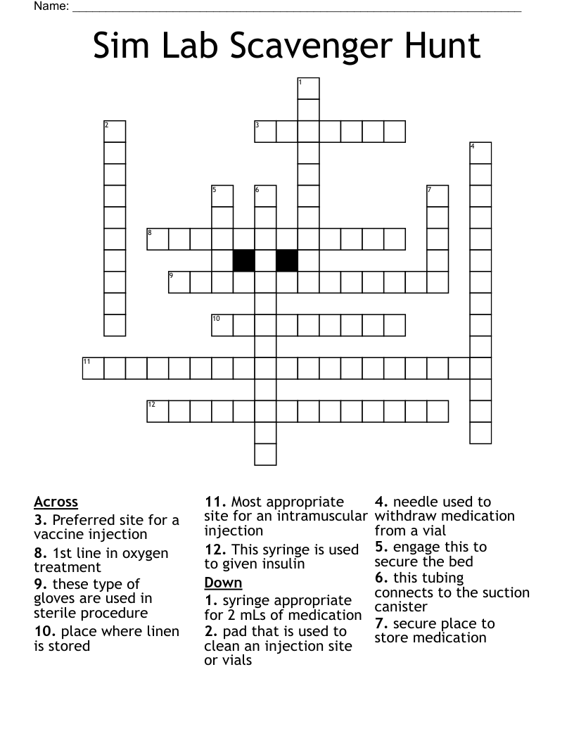 Sim Lab Scavenger Hunt Crossword
