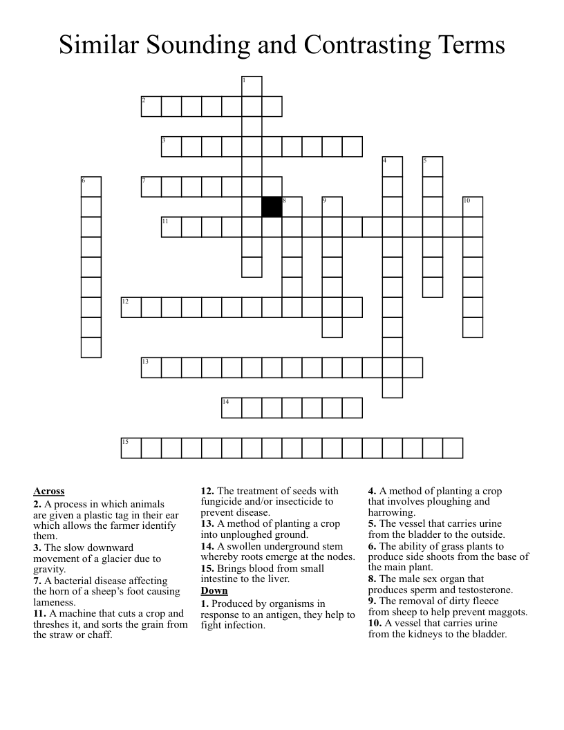 Similar Sounding and Contrasting Terms Crossword