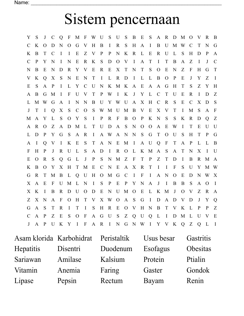 Sistem pencernaan Word Search