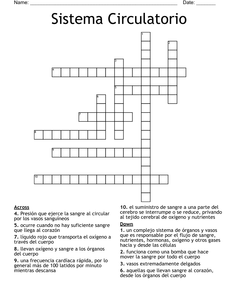 Sistema Circulatorio Crossword
