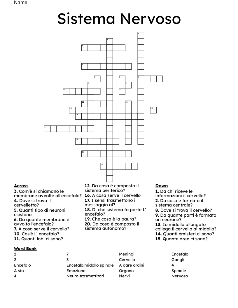 Sistema Nervoso  Crossword