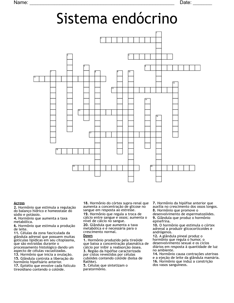 Sistema endócrino Crossword