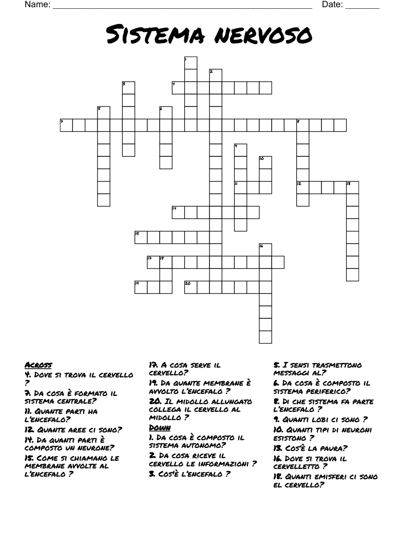 Sistema nervoso  Crossword