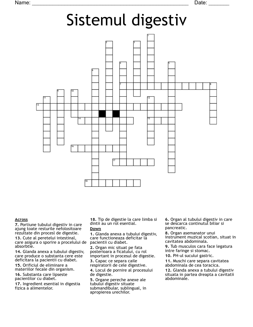 Sistemul digestiv Crossword