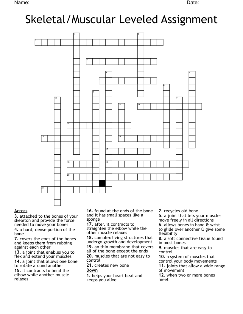 Skeletal/Muscular Leveled Assignment Crossword