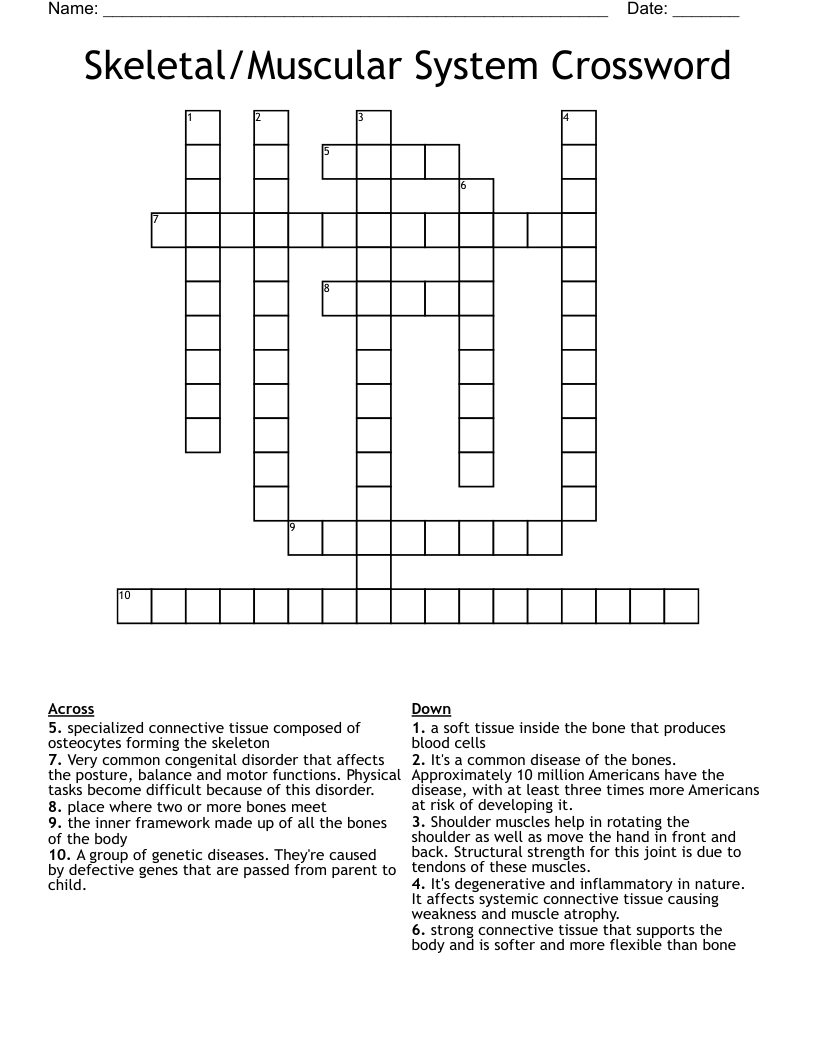 Skeletal/Muscular System Crossword