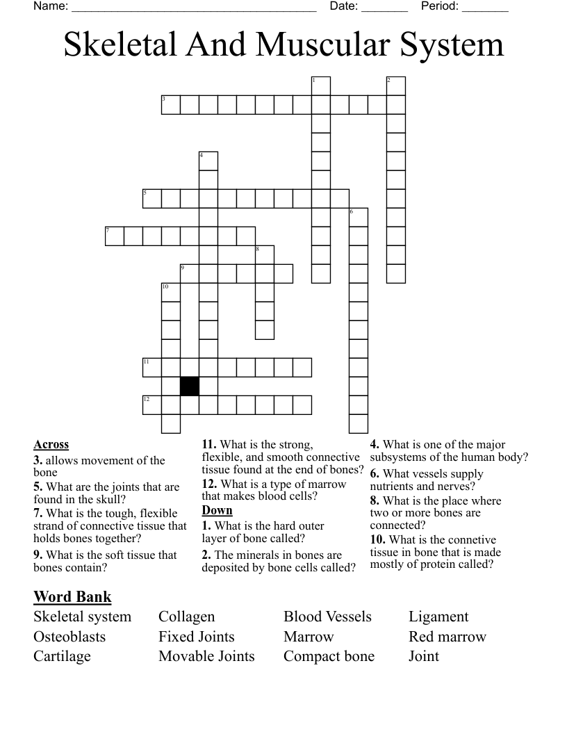 Skeletal And Muscular System Crossword