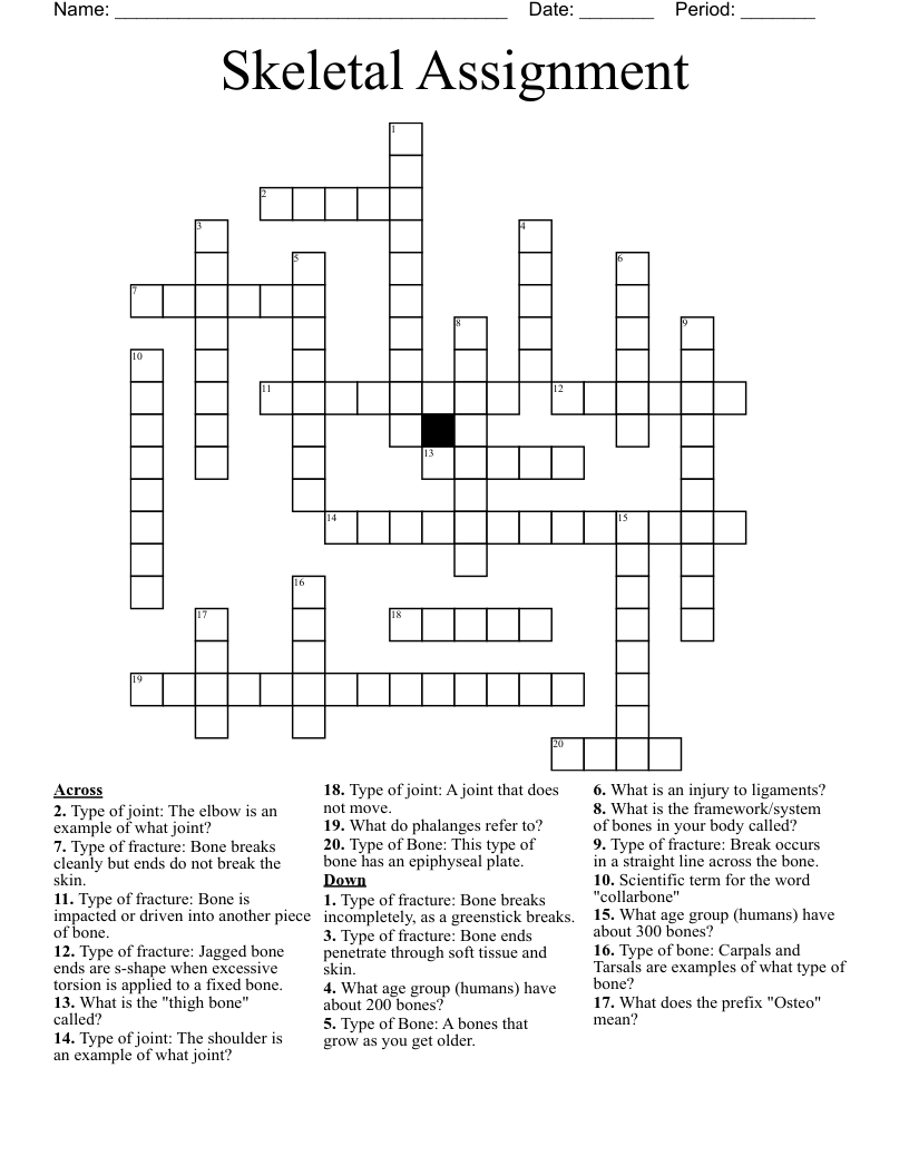 Skeletal Assignment  Crossword