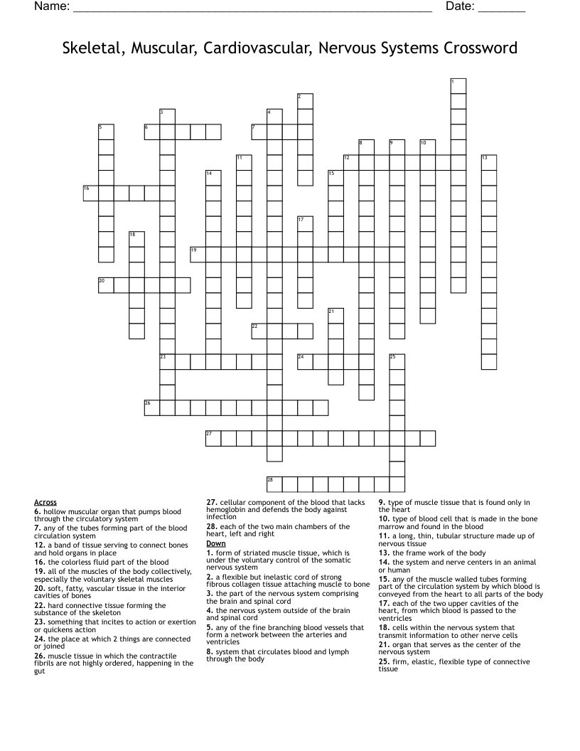 Skeletal, Muscular, Cardiovascular, Nervous Systems  Crossword