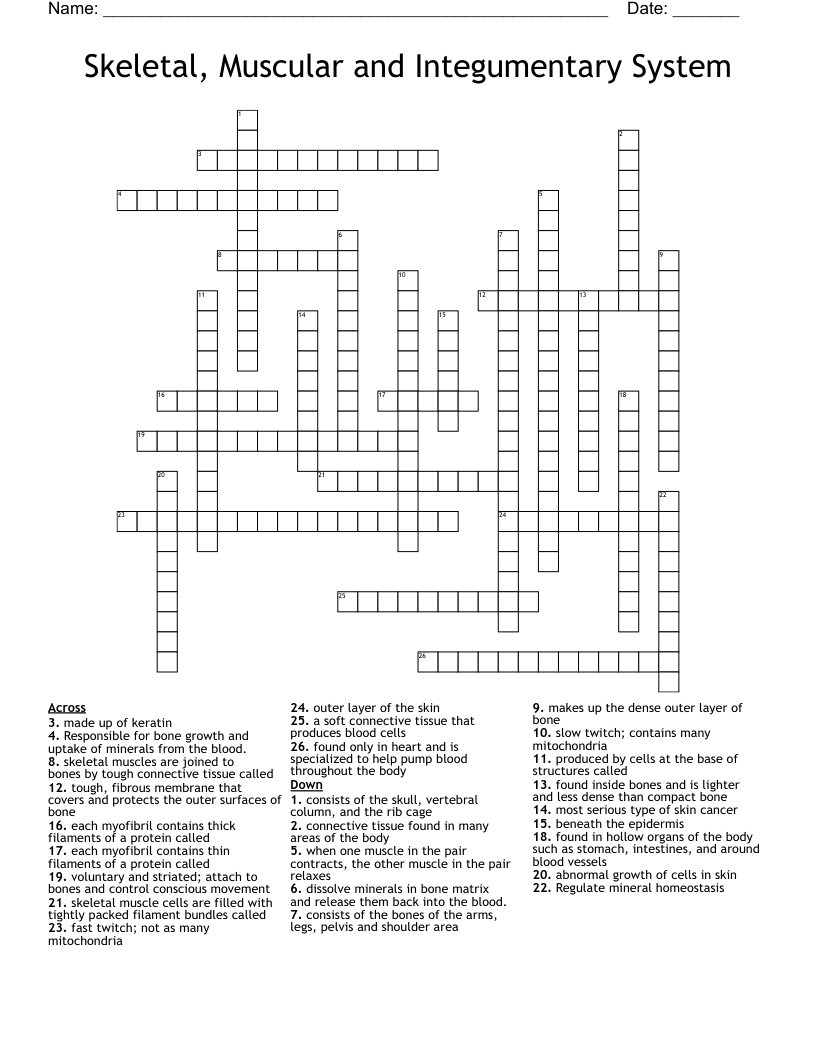 Skeletal, Muscular and Integumentary System Crossword
