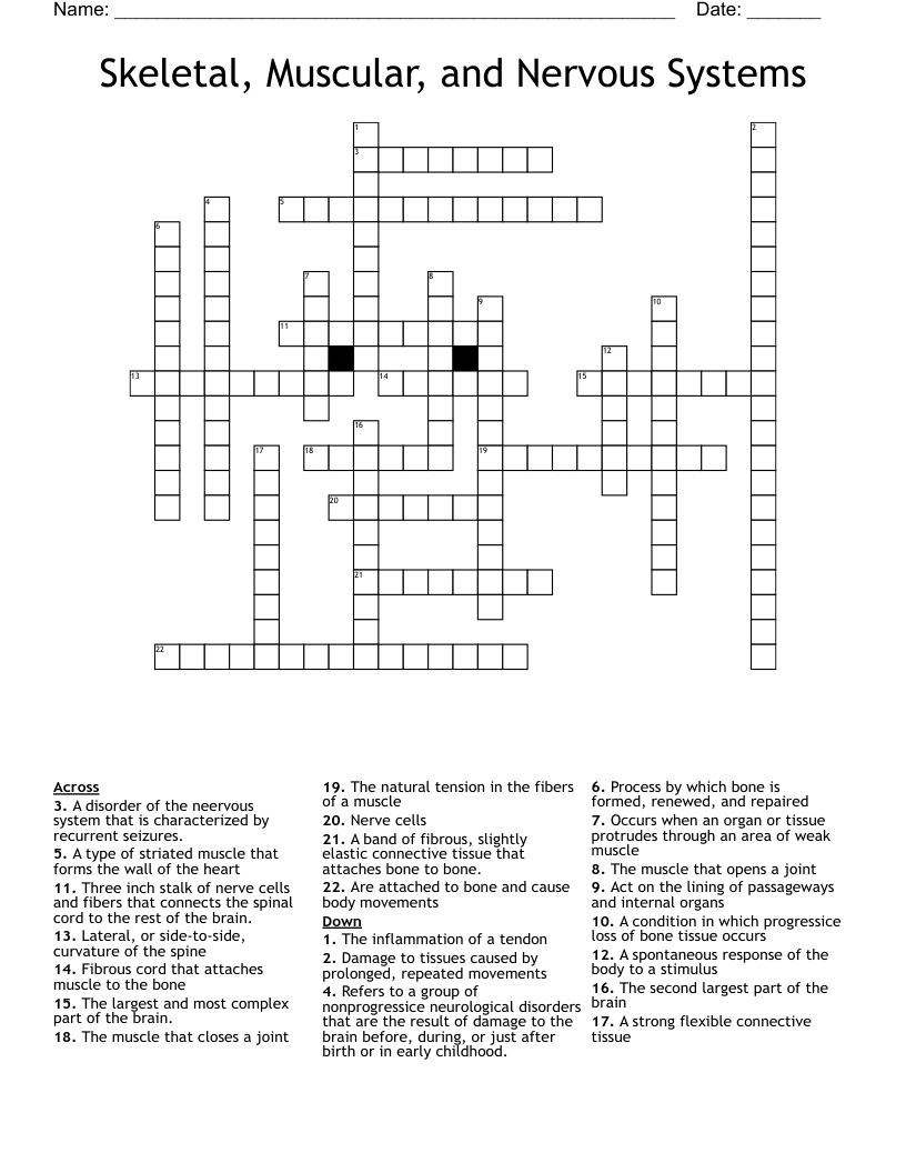 Skeletal, Muscular, and Nervous Systems  Crossword