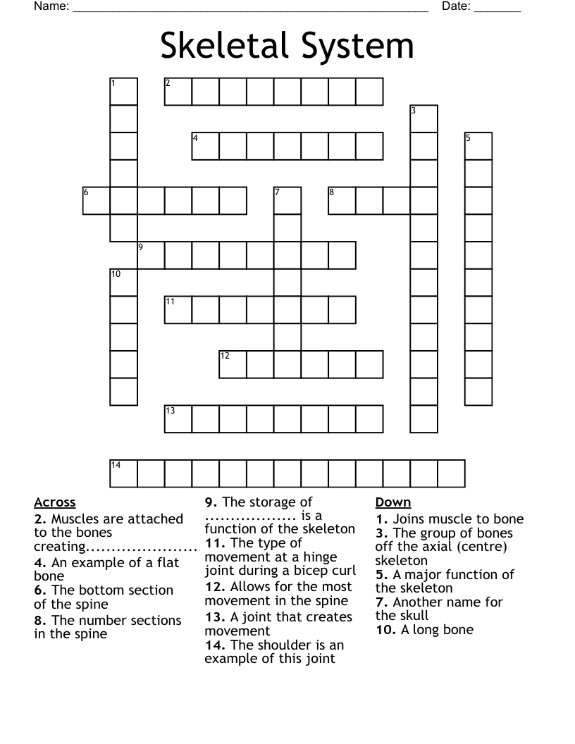 Skeletal System Crossword