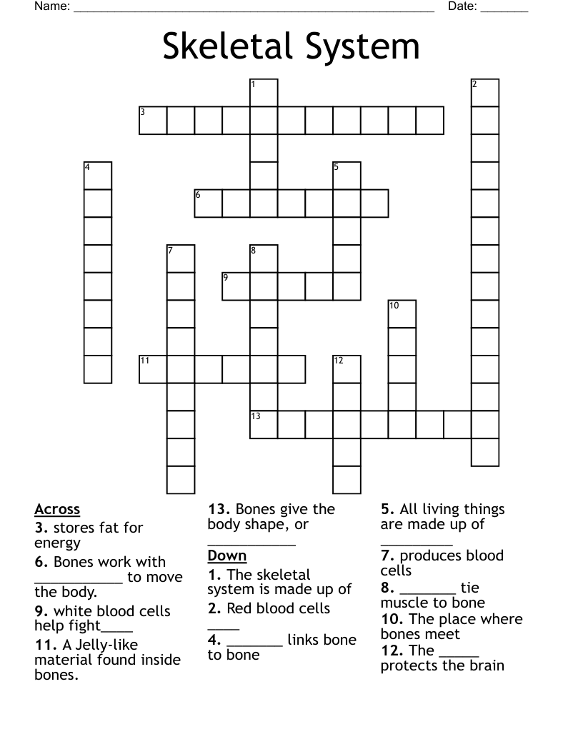 Skeletal System Crossword