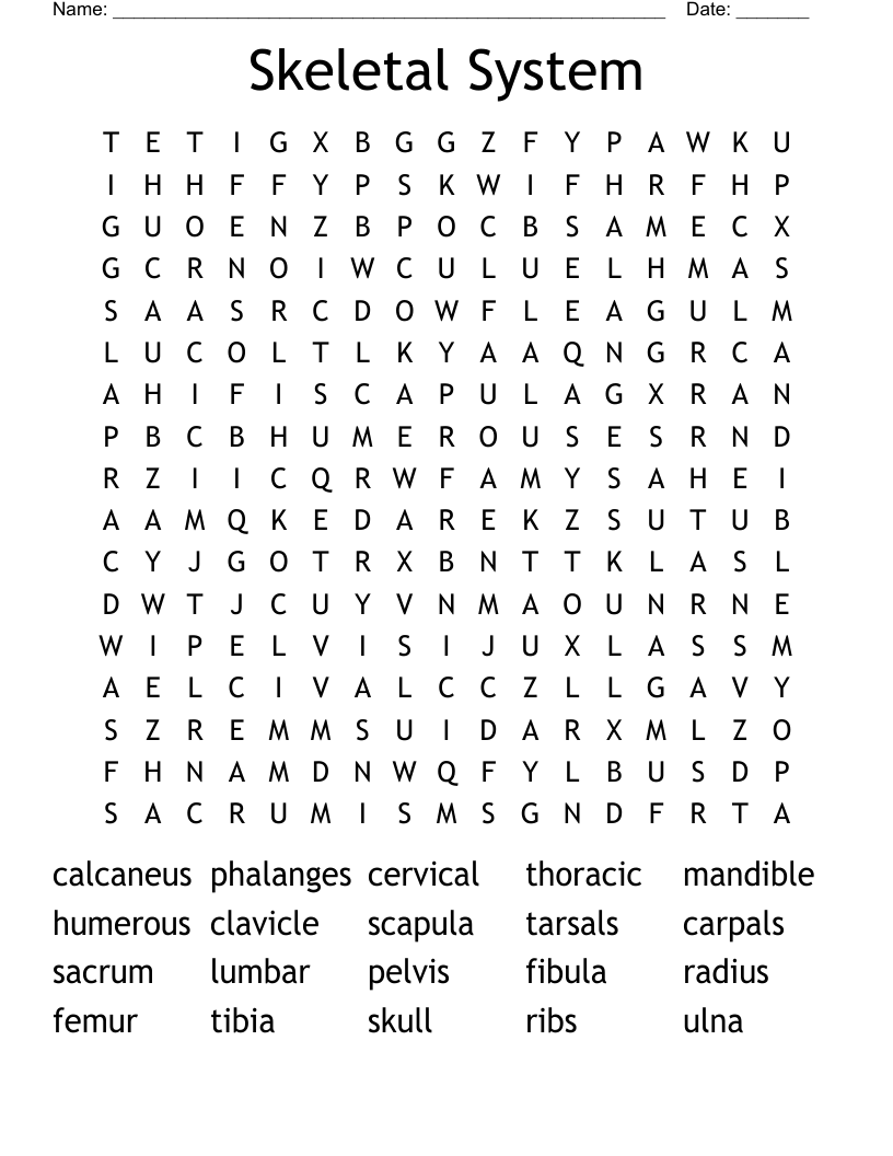 Skeletal System Word Search
