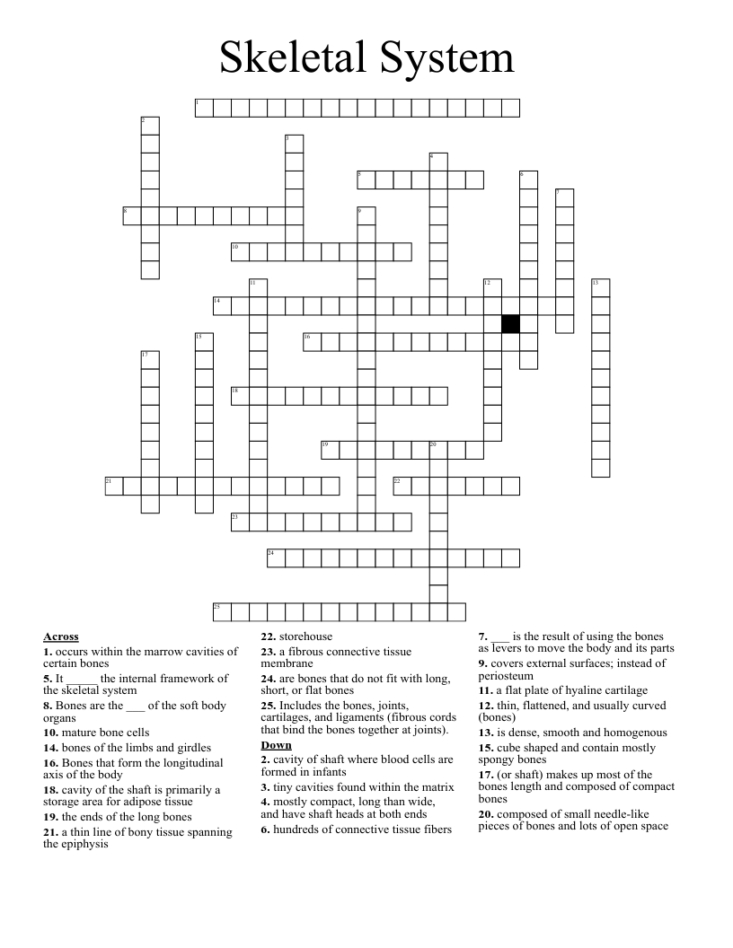 Skeletal System Crossword