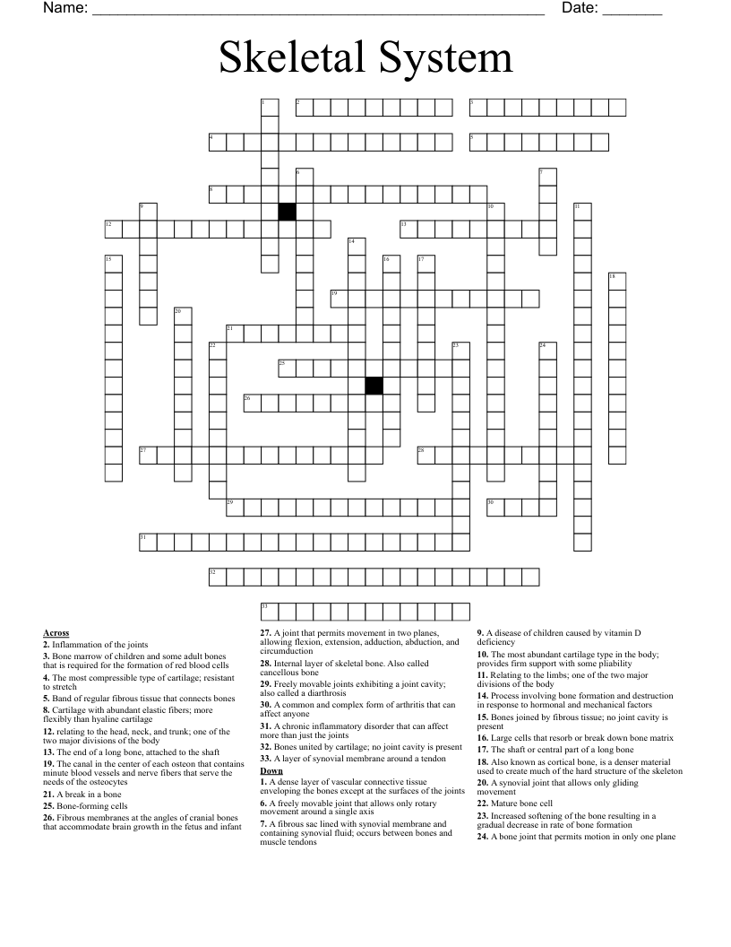 Skeletal System Crossword