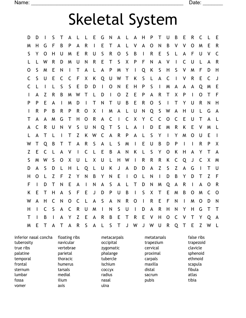 Skeletal System Word Search