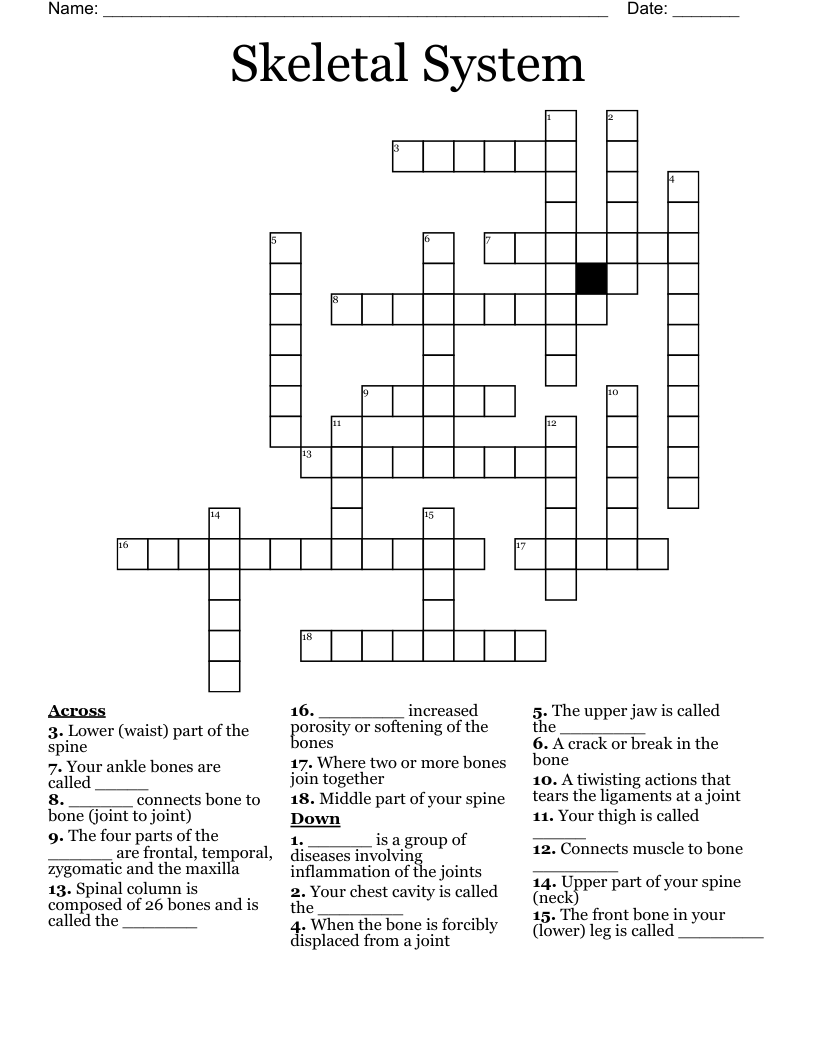 Skeletal System Crossword