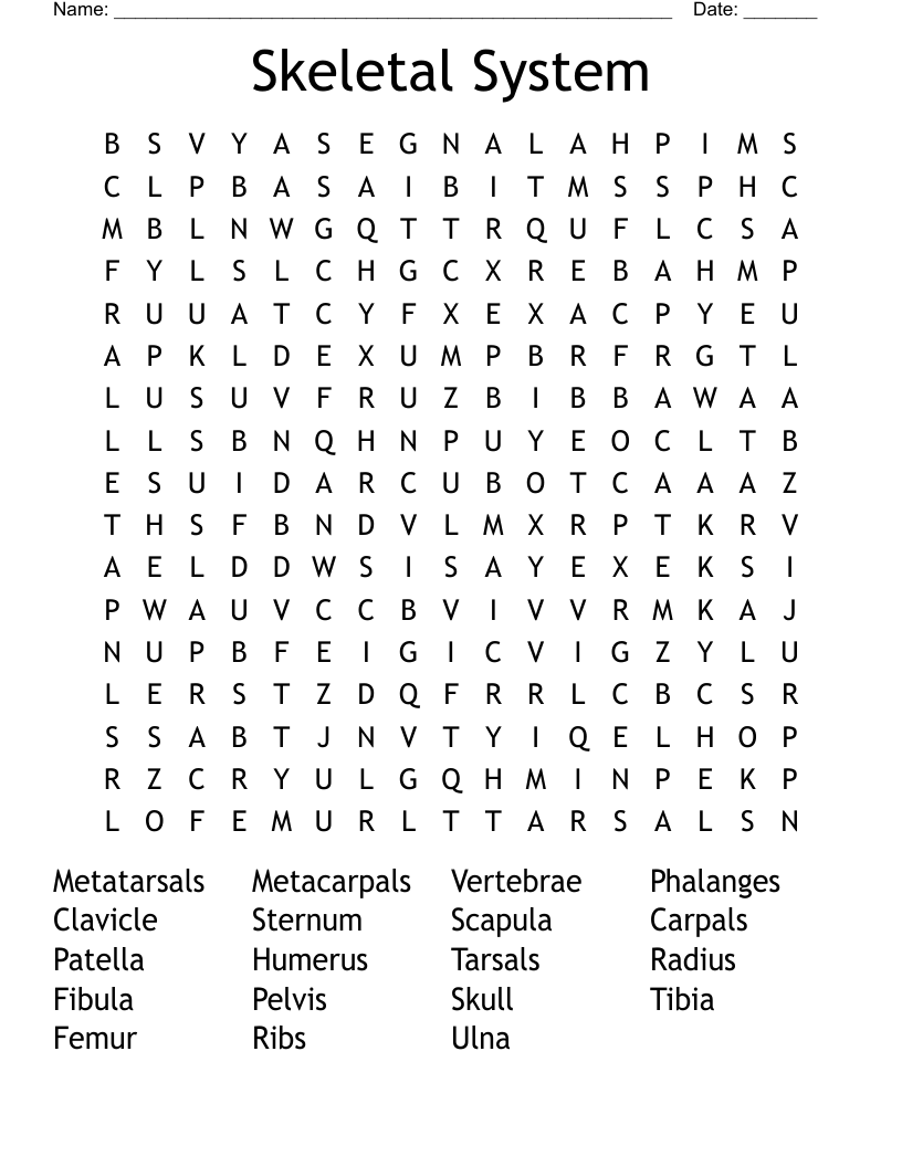 Skeletal System Word Search
