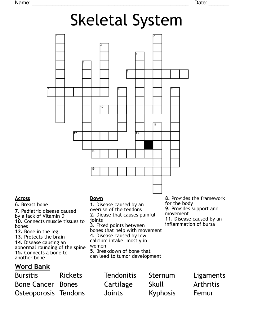 Skeletal System Crossword