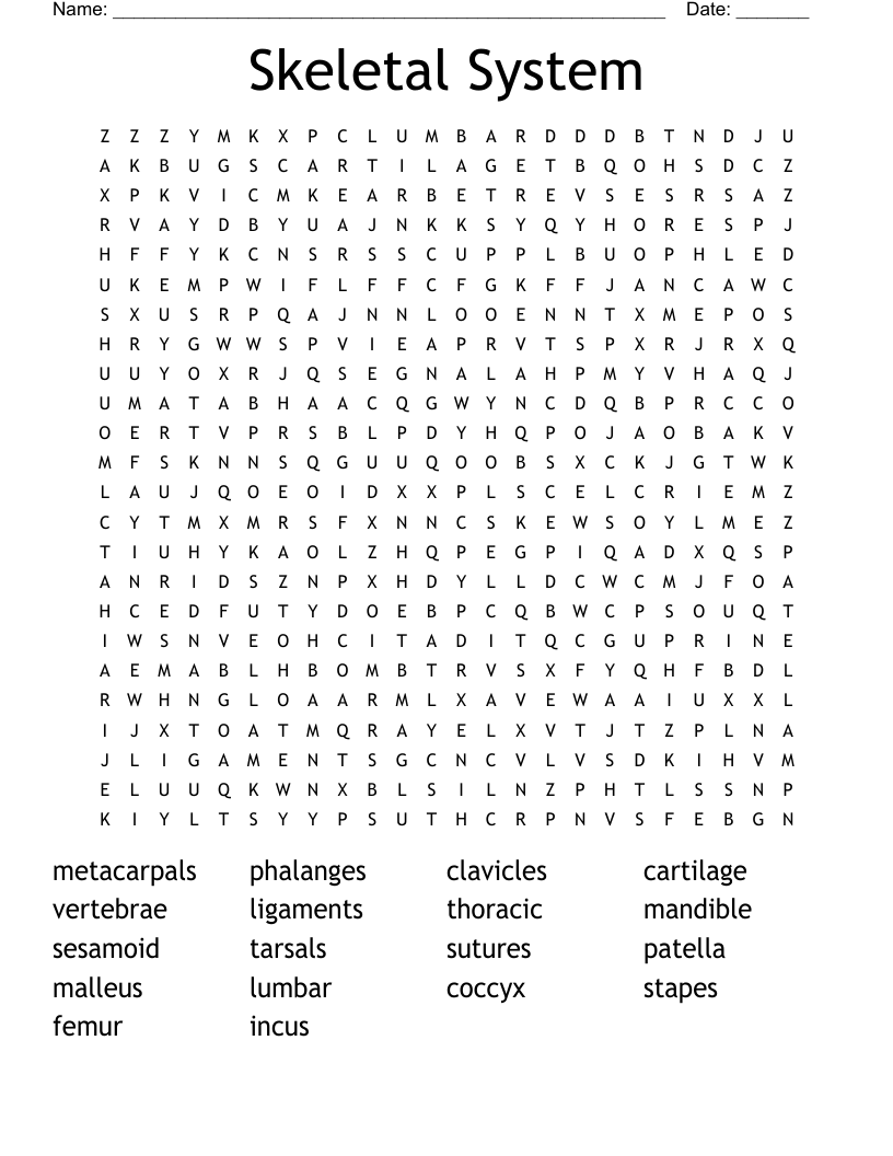 Skeletal System Word Search