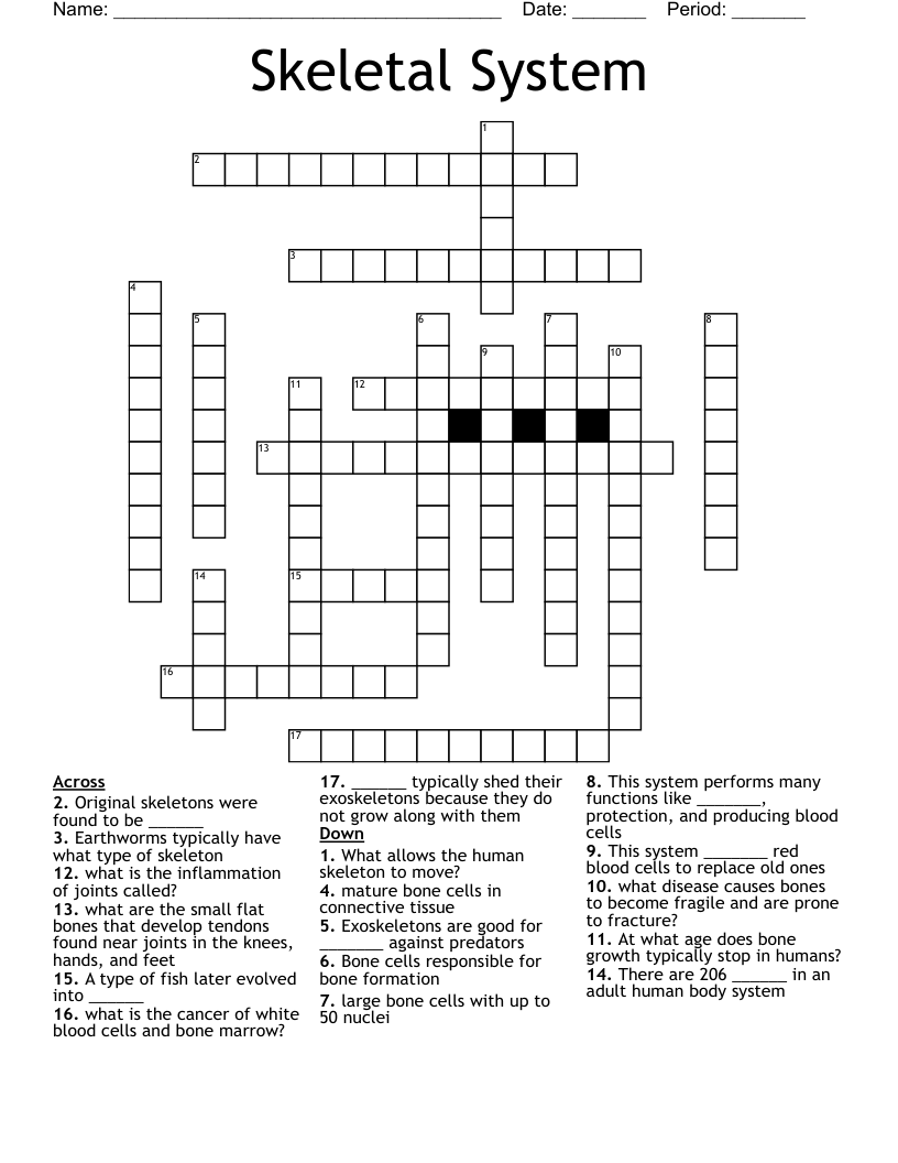 Skeletal System Crossword