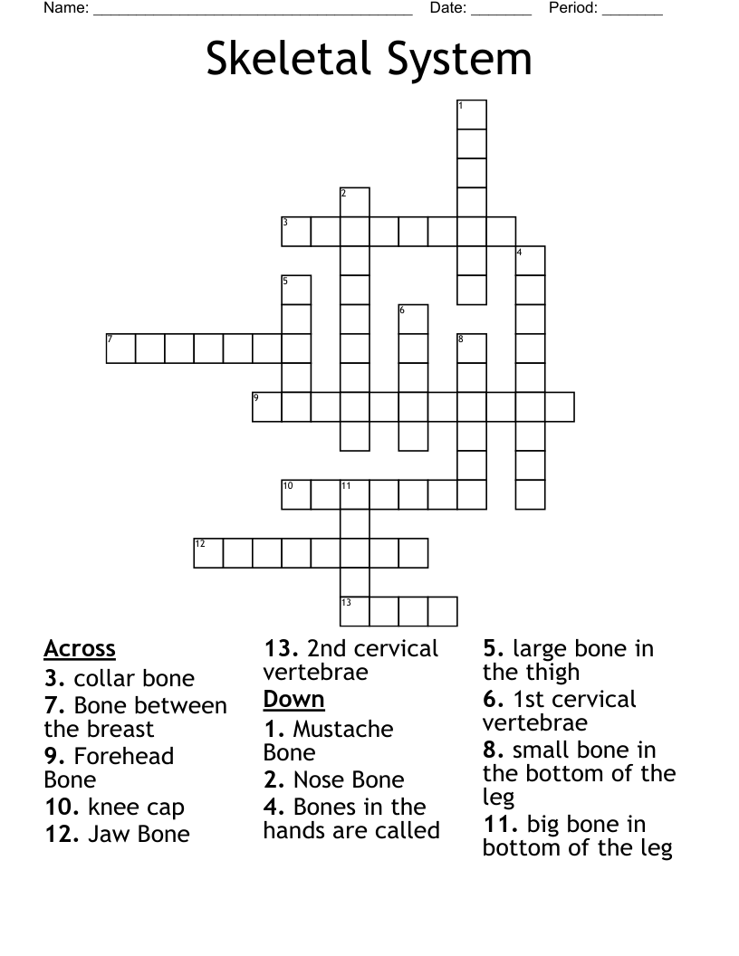 Skeletal System Crossword