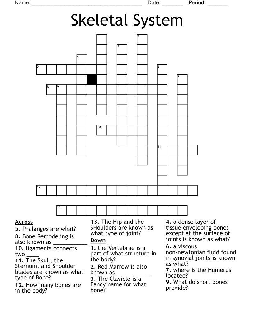 Skeletal System Crossword