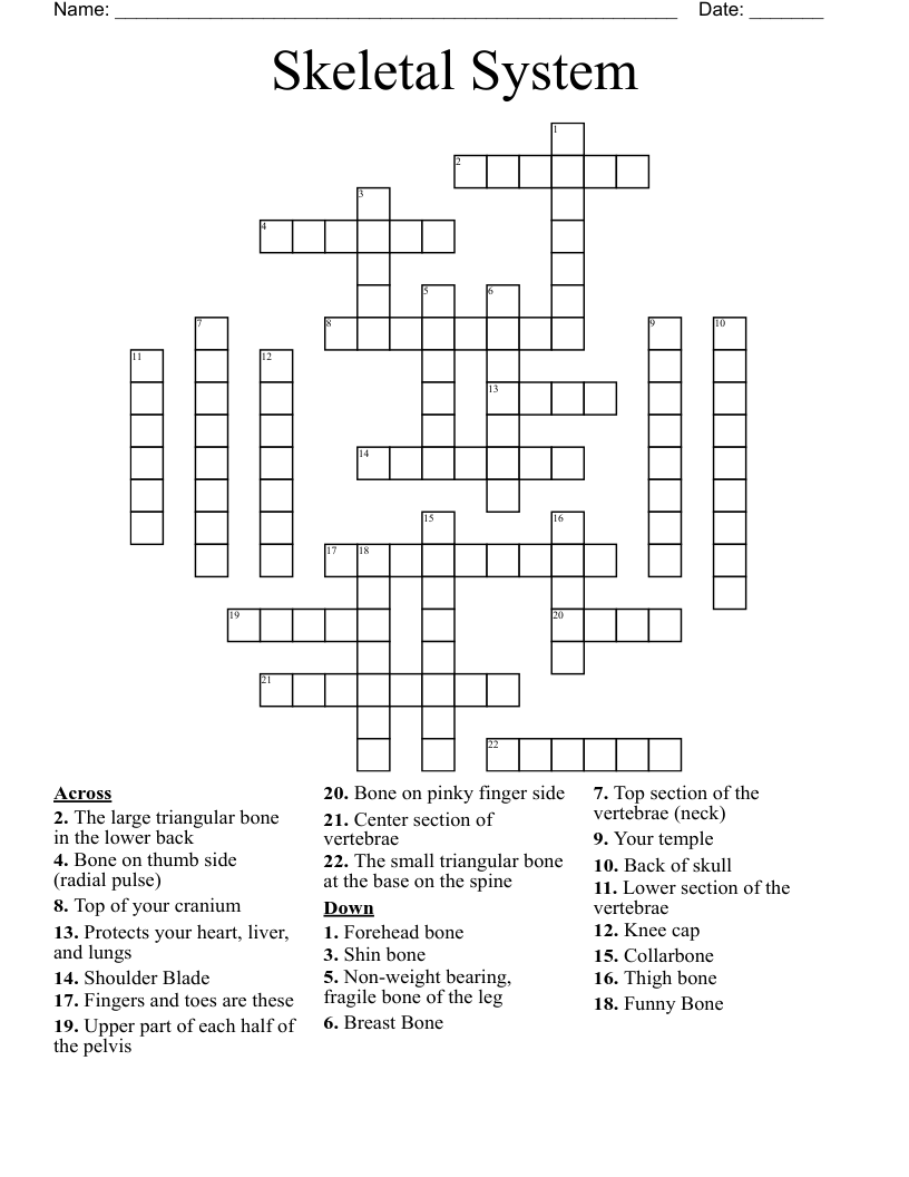 Skeletal System Crossword