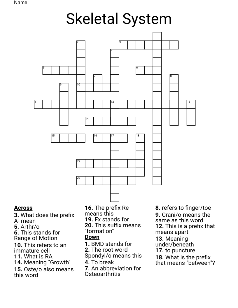 Skeletal System Crossword