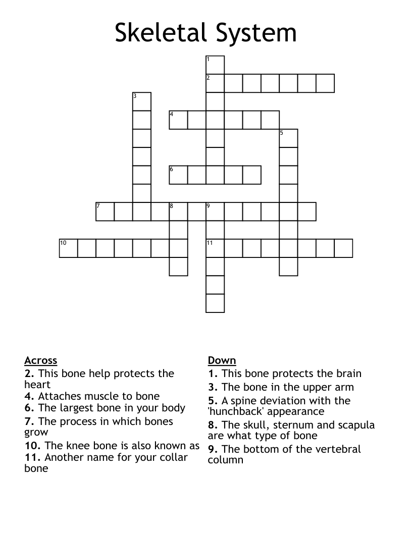 Skeletal System Crossword