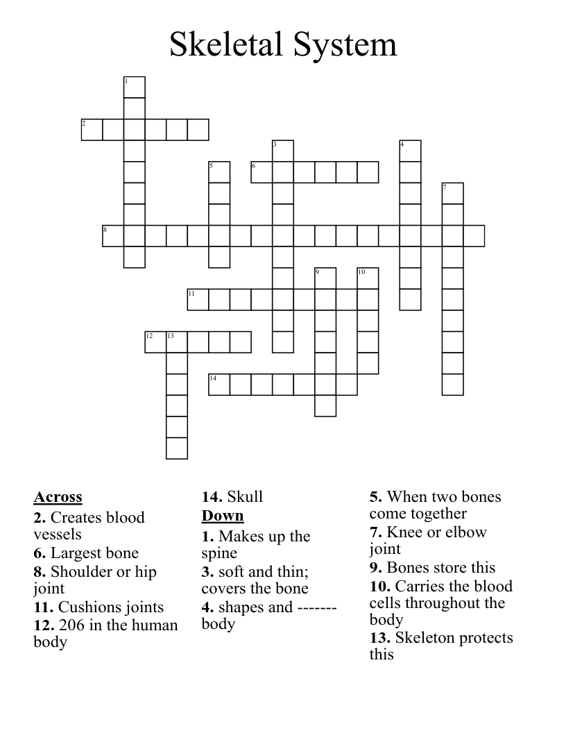 Skeletal System Crossword