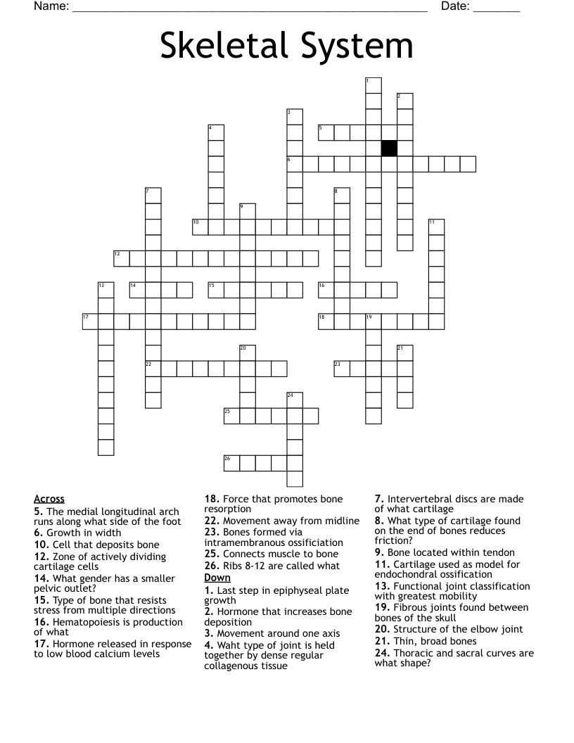 Skeletal System Crossword