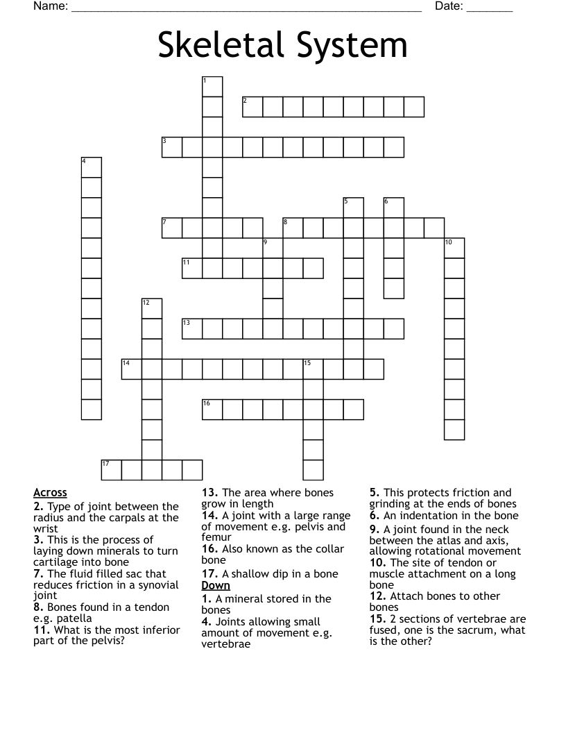 Skeletal System Crossword