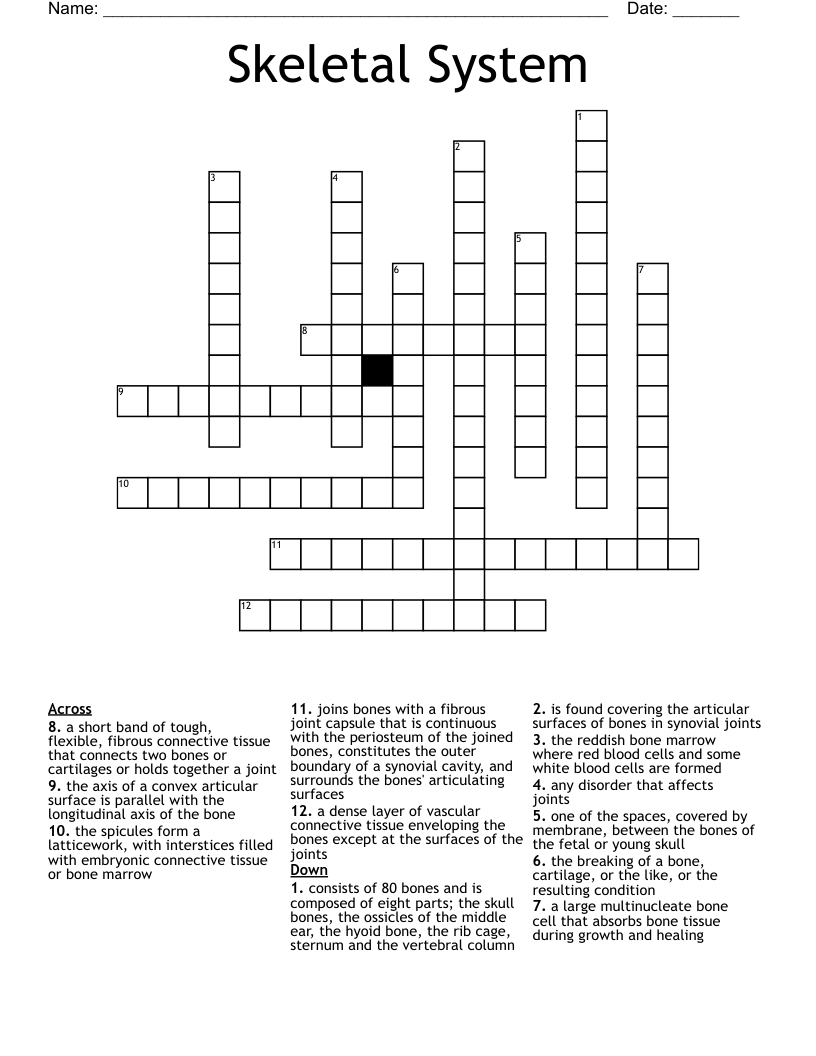 Skeletal System Crossword