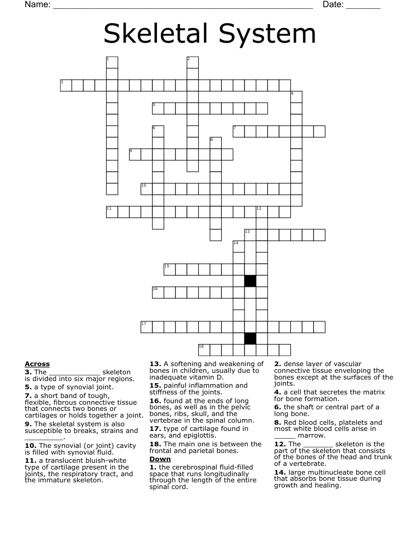 Skeletal System Crossword
